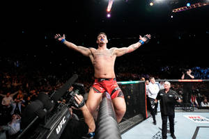 UFC拳手站在八角籠圍欄上高舉雙臂慶祝勝利。 — 運動 壁紙