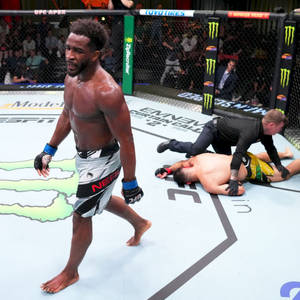 UFC拳手在贏得比賽後走開，裁判檢查倒下的對手。 — 終極格鬥冠軍賽 壁紙