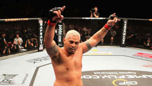 MMA拳手在八角籠中高舉拳頭慶祝勝利。 — 高清 壁紙