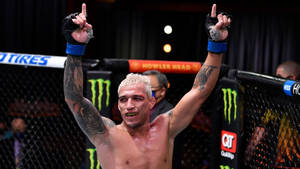 MMA 拳手在八角籠內高舉雙拳慶祝勝利。 — 終極格鬥冠軍賽 壁紙