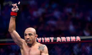 MMA拳手在Vint Arena的八角籠中慶祝勝利。 — 終極格鬥冠軍賽 壁紙