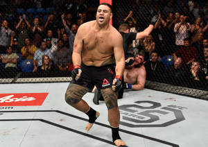 MMA拳手在鐵絲網後人群的歡呼聲中，於八角籠慶祝勝利。 — 運動 壁紙