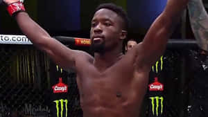 MMA 拳手在八角籠中高舉雙臂慶祝勝利。 — 運動 壁紙