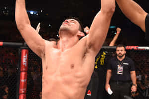 MMA拳手在UFC八角籠內舉起雙臂慶祝勝利。 — 終極格鬥冠軍賽 壁紙