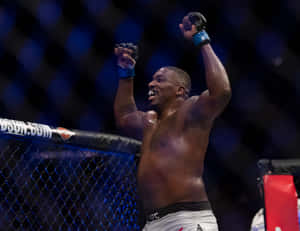 MMA 拳手在八角籠中高舉拳頭慶祝勝利。 — 終極格鬥冠軍賽 壁紙