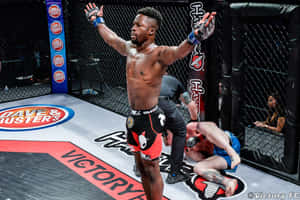 MMA 拳手在八角籠中慶祝擊敗倒下的對手。 — 運動 壁紙