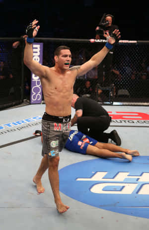 MMA拳手在八角籠中慶祝擊敗倒下的對手。 — 運動 壁紙