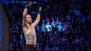 MMA拳手在八角籠中舉拳慶祝勝利。 — 桌面 壁紙