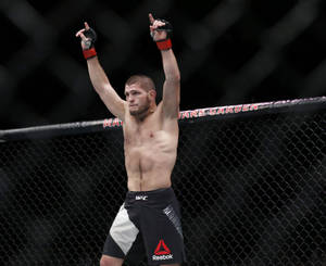 MMA拳手在八角籠中高舉雙臂慶祝勝利。 — 終極格鬥冠軍賽 壁紙