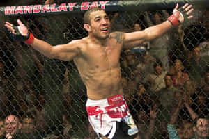 MMA拳手在八角籠內慶祝勝利，背後有歡呼的人群。 — 終極格鬥冠軍賽 壁紙