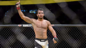 MMA拳手在UFC八角籠中舉拳慶祝勝利。 — 終極格鬥冠軍賽 壁紙