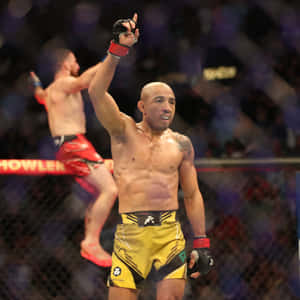 MMA選手在八角籠內舉拳慶祝勝利。 — 終極格鬥冠軍賽 壁紙