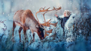 女士在雪地森林中觸摸馴鹿鹿角 — 馴鹿 壁紙
