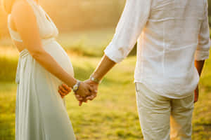 孕婦和伴侶在日落時分的草地上牽手。 — 懷孕 壁紙