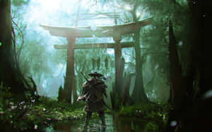 武士戰士站在霧氣森林中的木製神社門前。 — 混沌武士 壁紙