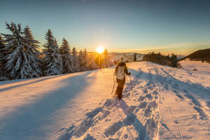 日出時在松樹旁攀登雪山的遠足者 — 冬季風景 壁紙