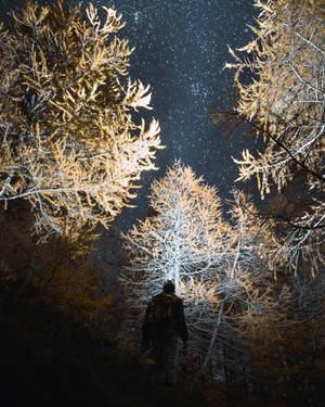 在星空下雪地森林中站立的人 — 美學天空 壁紙