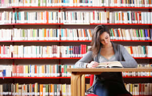 年輕女性在圖書館被書架環繞著學習。 — 讀書 壁紙