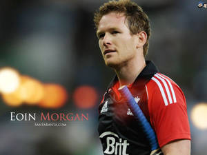 板球運動員 Eoin Morgan 身穿紅黑制服在夜間比賽中握著球棒。 — 亞歷克斯·摩根 壁紙