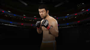 MMA拳手戴紅手套在八角籠中準備就緒 — 庫洛魔法使 壁紙