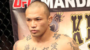 UFC八角籠內有刺青的MMA拳手 — 終極格鬥冠軍賽 壁紙
