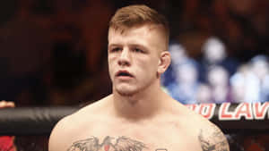 一位有刺青的男性MMA拳手在八角籠中比賽。 — 運動 壁紙