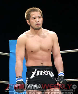 赤裸上身的MMA拳手穿著黑色短褲和手套站在拳擊擂台上。 — 庫洛魔法使 壁紙