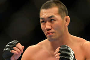 戴黑色手套的MMA選手在比賽中專注凝視。 — 運動 壁紙