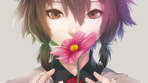 動漫女孩將粉紅色大波斯菊放在嘴唇附近 — 花卉 壁紙
