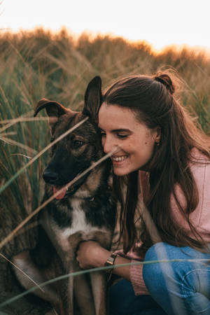 女性在日落時分於高高的草叢中擁抱她的狗並微笑。 — 德國狼犬 壁紙