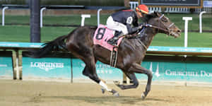 騎師在邱吉爾園的賽馬比賽中騎著8號賽馬。 — 賽馬 壁紙