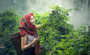 女性在霧氣繚繞的瀑布附近，背著籃子採摘藍色花朵。 — 桌面 壁紙