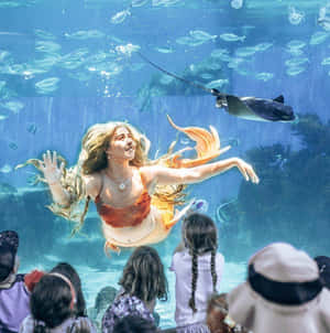 孩子們觀看美人魚與魚群和蝠鱝一起在水下游泳。 — 美人魚 壁紙