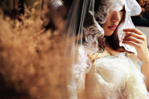 一位新娘穿著白色蕾絲頭紗和禮服，被金色的乾草環繞。 — 婚紗 壁紙