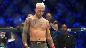 有刺青的UFC拳手在比賽後走在八角籠中。 — 終極格鬥冠軍賽 壁紙