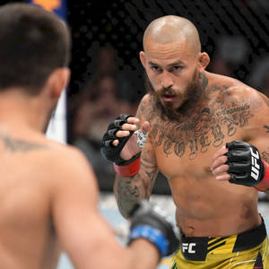 兩位男性MMA拳手在UFC比賽中於八角籠內對峙。 — 運動 壁紙