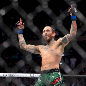 MMA拳手在八角籠中高舉雙臂慶祝勝利。 — 運動 壁紙