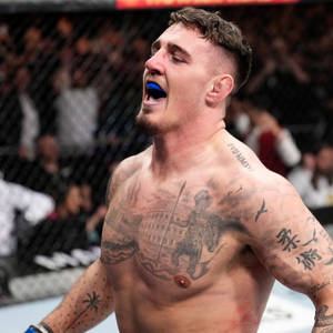 有刺青的MMA拳手在比賽中於八角籠內咆哮。 — 運動 壁紙
