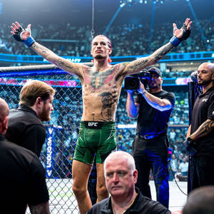 MMA拳擊手在八角籠內舉起雙臂慶祝勝利 — 終極格鬥冠軍賽 壁紙