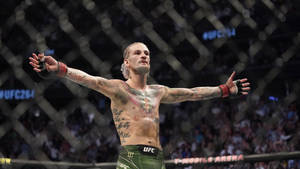 UFC拳手在八角籠內舉起雙臂慶祝勝利。 — 慶祝 壁紙