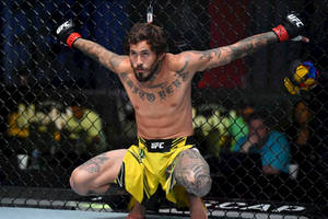 MMA拳手在UFC八角籠內舉起雙臂慶祝勝利。 — 運動 壁紙