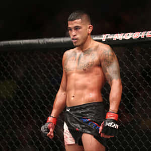 一位血跡斑斑的MMA拳手在八角籠內戴著手套和短褲。 — 運動 壁紙