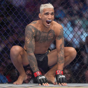 有刺青的MMA拳手在勝利後蹲在八角籠內。 — 終極格鬥冠軍賽 壁紙