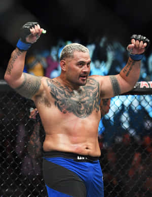有刺青的MMA拳手在UFC八角籠中慶祝勝利。 — 高清 壁紙
