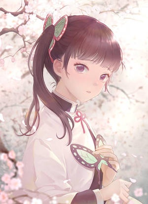 動漫女孩在櫻花下捧著蝴蝶 — 櫻島麻衣 壁紙