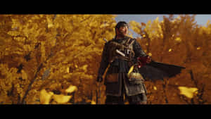 身穿傳統盔甲的武士戰士站在金色秋林中，落葉飄落。 — 對馬戰鬼 壁紙