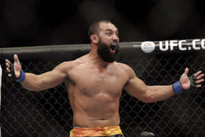 MMA拳手在八角籠中張開雙臂慶祝勝利。 — 冠軍 壁紙
