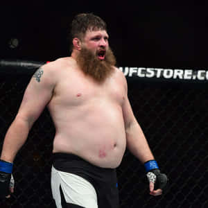 留鬍子的MMA拳手在UFC八角籠中勝利後咆哮。 — 運動 壁紙