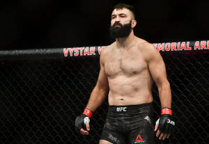 一位留鬍子、赤裸上身的MMA選手站在UFC八角籠內。 — 終極格鬥冠軍賽 壁紙