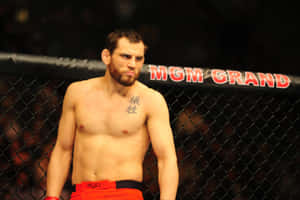 MMA戰士穿著紅色短褲，站在MGM Grand場館的籠內。 — 運動 壁紙